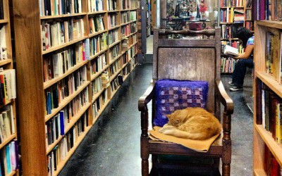 A world without libraries