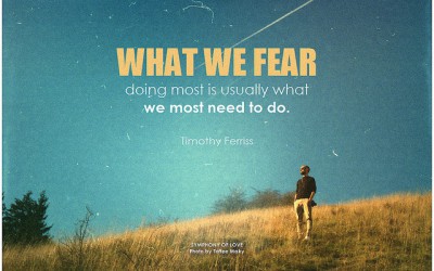 Fear is contagious