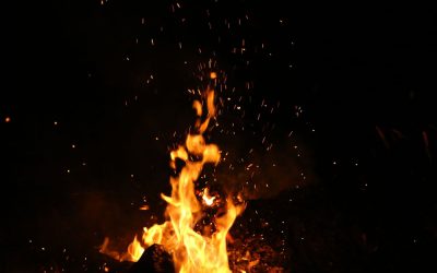 Why passion won’t fuel your business