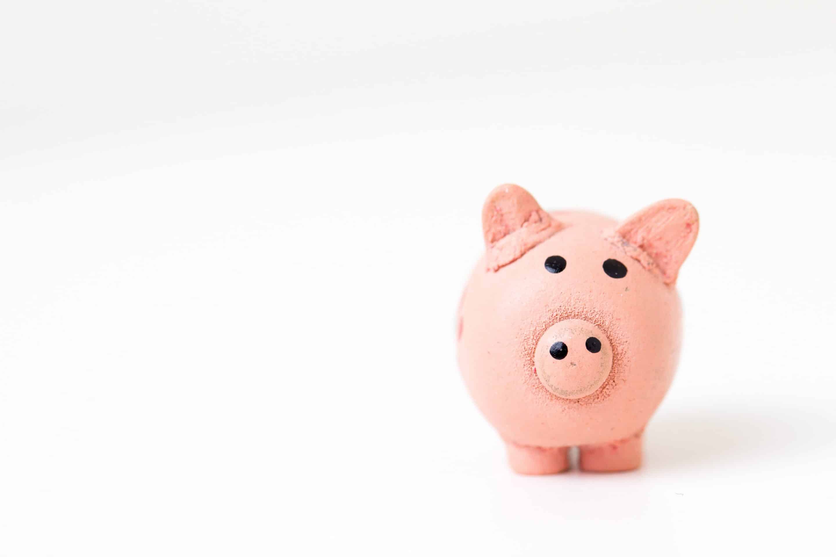 can-we-talk-about-money-really-quick-pink-pig-moneybox